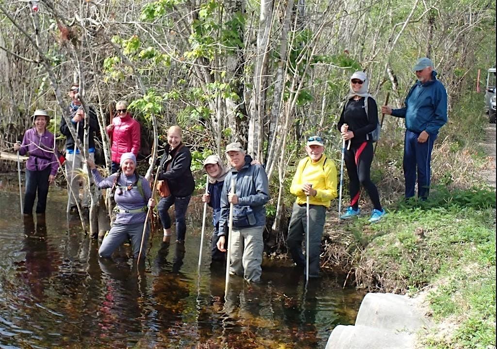 Introduction to Swamp Walk with Interpretive Tram tour
