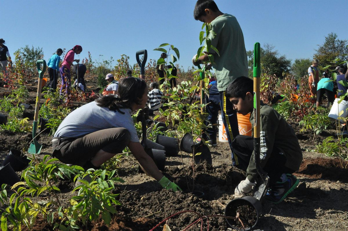 TRICK or TREE Community Tree Planting at Manitou Park, 25 October | Event in Brampton | AllEvents
