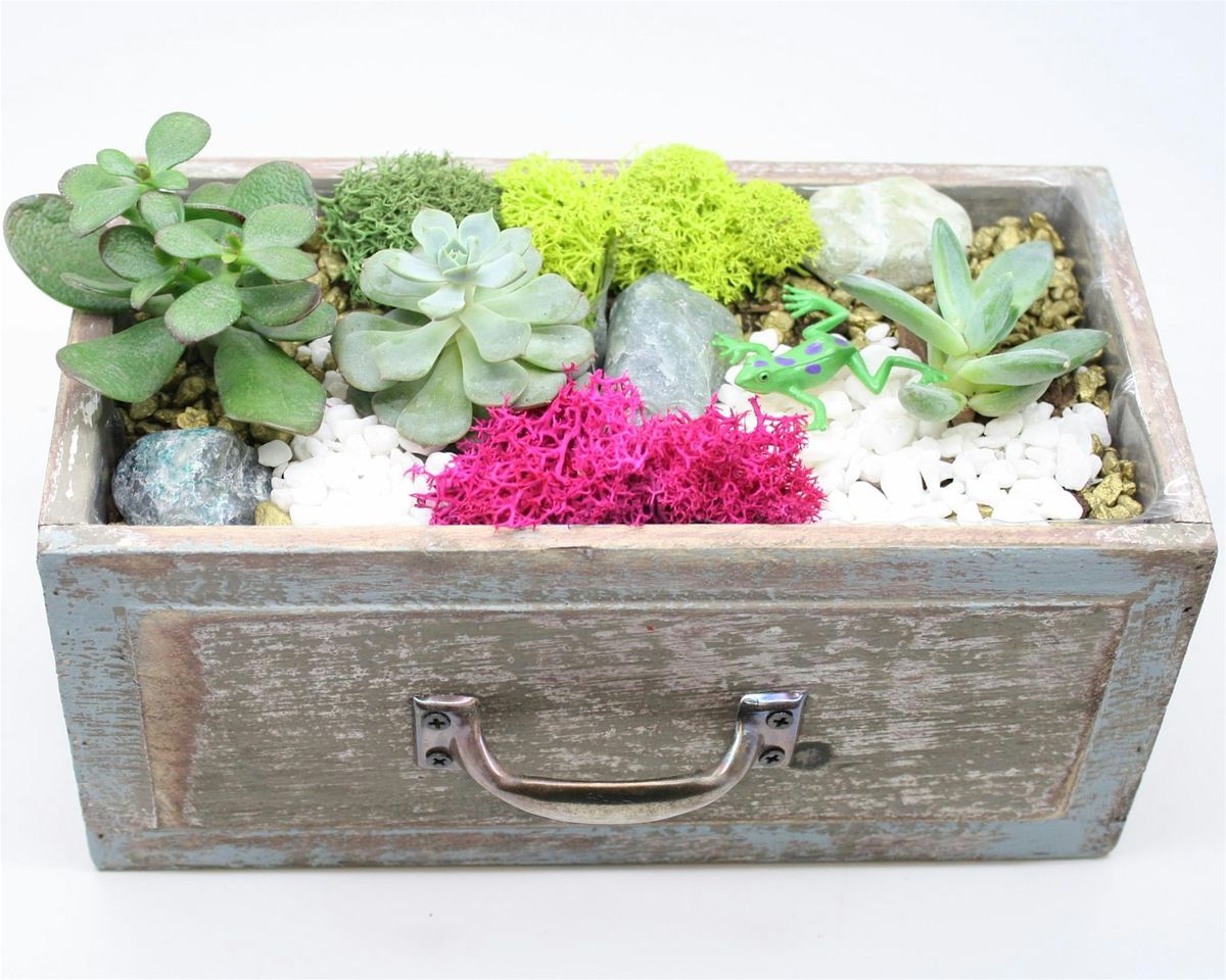 Family Plant Party: Make a Succulent Terrarium, 12 September | Event in VANCOUVER | AllEvents
