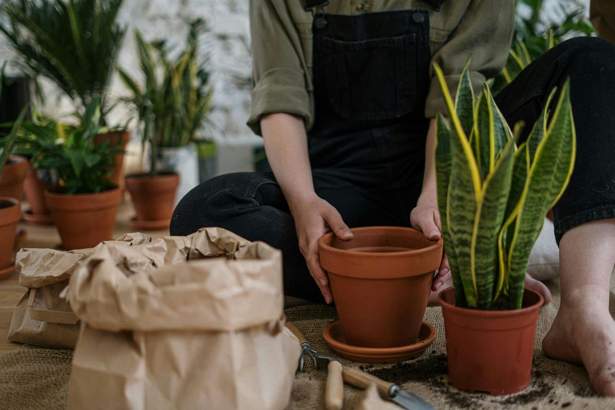 Indoor Houseplant Care and Plant Swap!, 13 September | Event in Charlottesville | AllEvents