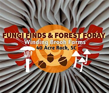 Fungi Finds & Forest Foray at Forty Acre Rock, South Carolina, 25 May | Event in Kershaw | AllEvents