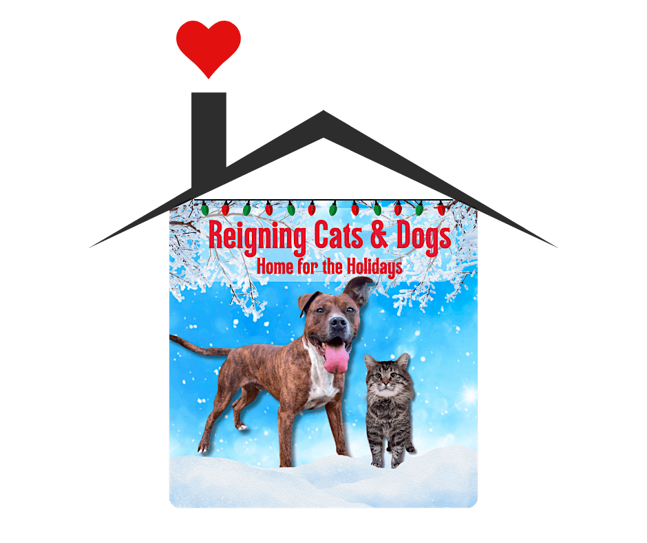 34th Annual Reigning Cats & Dogs: Out of this World, 8 November | Event in Little Rock | AllEvents