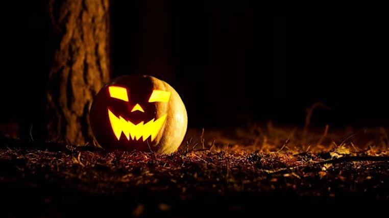 Fright and Delight, 29 October | Event in Boston | AllEvents