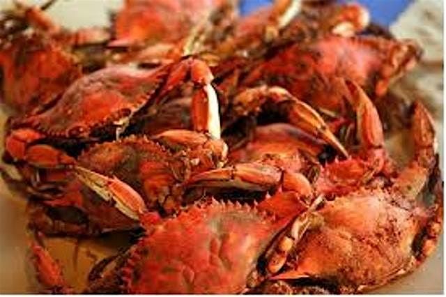 Blue Crabs & Cider Feast - Barrelhouse Gypsy Circus Knoxville, 8 June | Event in Knoxville | AllEvents