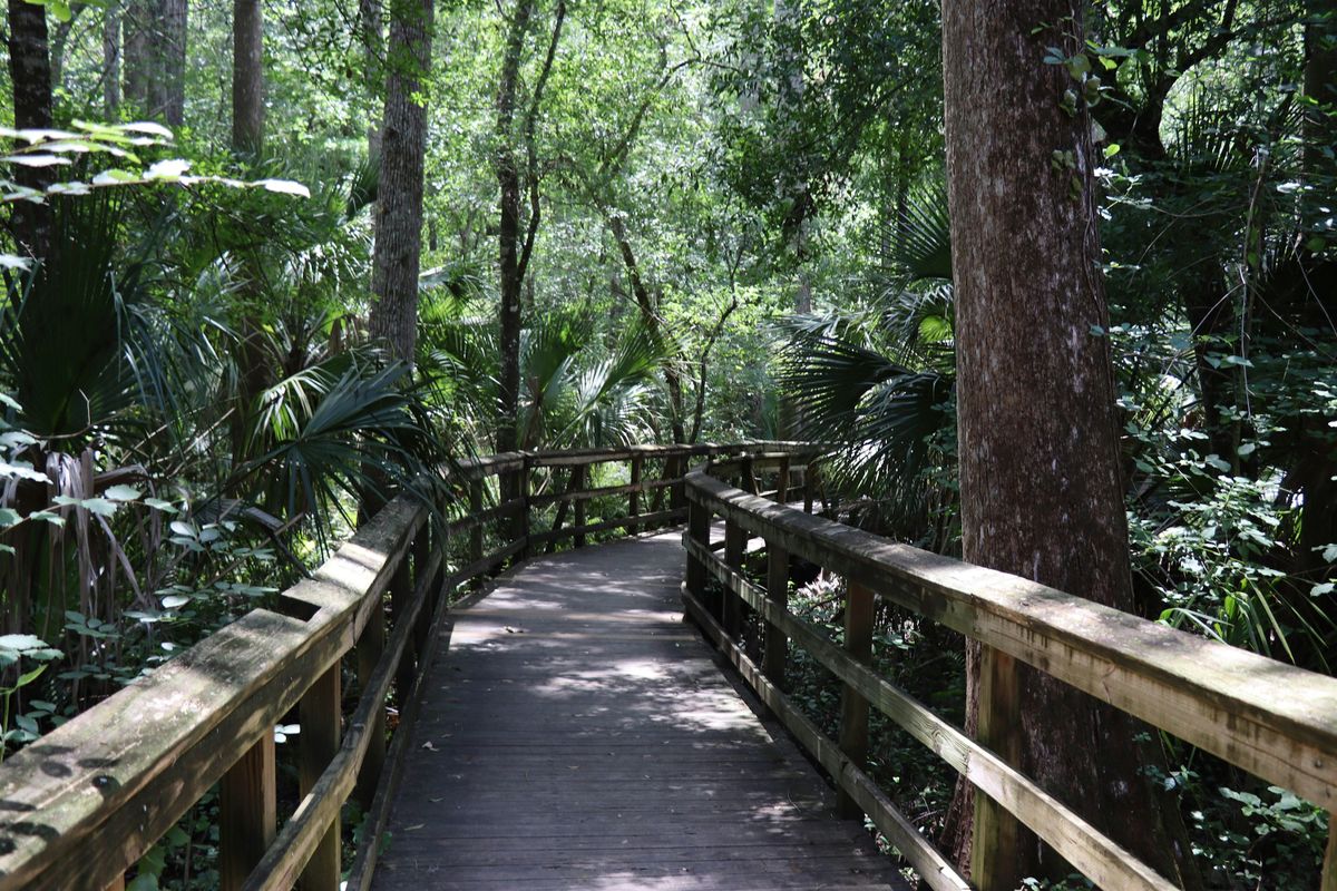 Highlands Hammock State Park: A look at natural areas W**d control, 23 October | Event in Sebring | AllEvents