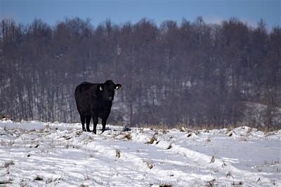 Sensory Explorers' Trail Winter Walk Series: Seasonal Transitions, 13 December | Event in Delaplane | AllEvents