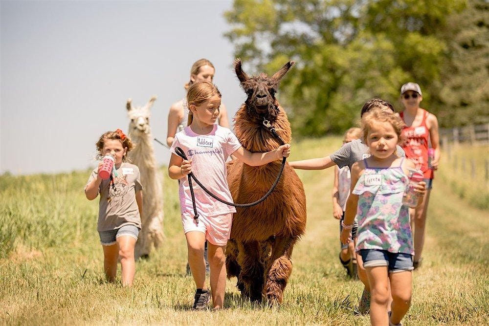 Llama & Goat Ranch Camp | Event in Hastings | AllEvents