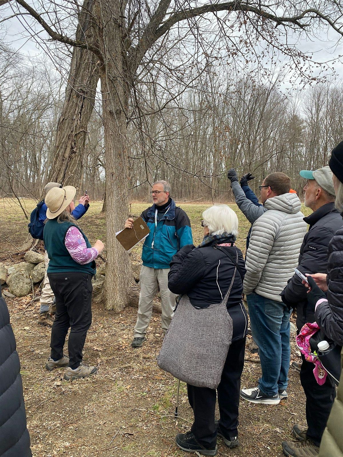 Guided Nature Walk at Greenwood Park, 15 May | Event in Stoneham | AllEvents