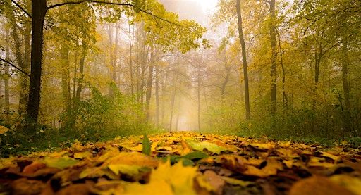 Living Life with Meaning & Purpose:  a Silent Weekend Retreat, 15 November | Event in Wootton, Canterbury