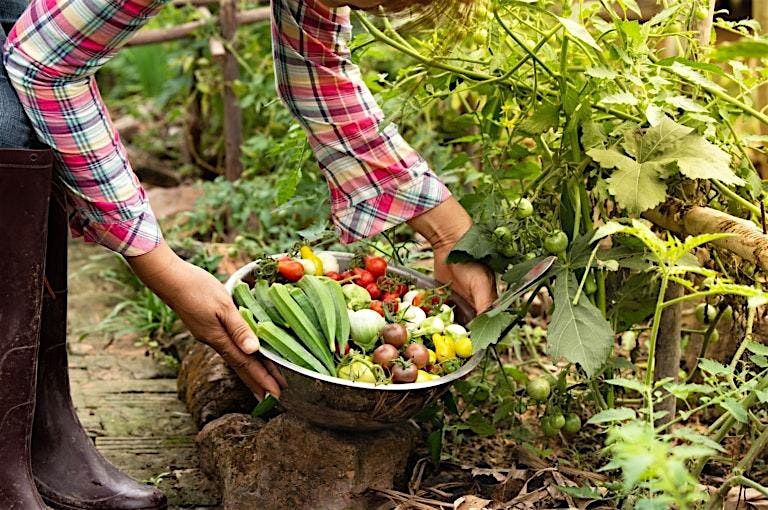 Harvesting and Storing your Garden Produce 8/3/2025 at 4:00pm, 3 August | Event in Denver | AllEvents