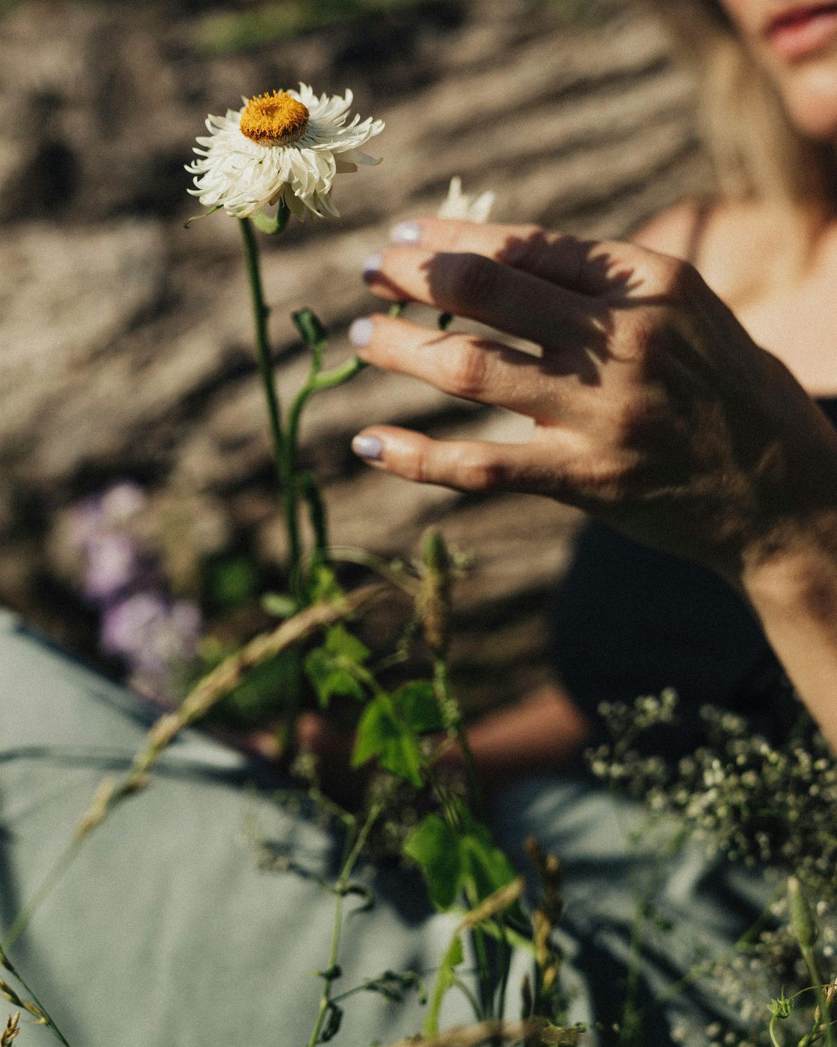 The Natural Reset: Aromatherapy for Anxiety & Stress Relief | Event in Essendon | AllEvents