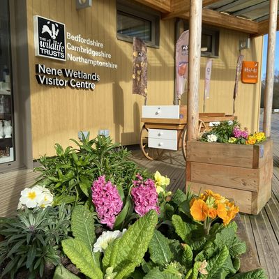 Katie King - The Wildlife Trust BCN logo