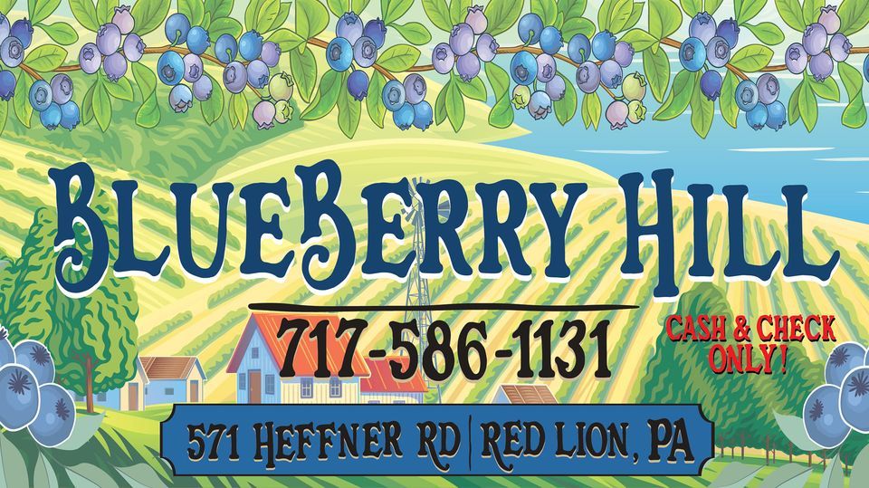 Blueberry Festival at Blueberry Hill, Blueberry Hill, Red Lion, July 14
