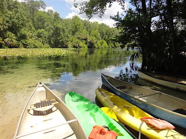 Kayaking Merchants Millpond State Park, 12 June | Event in Barco | AllEvents