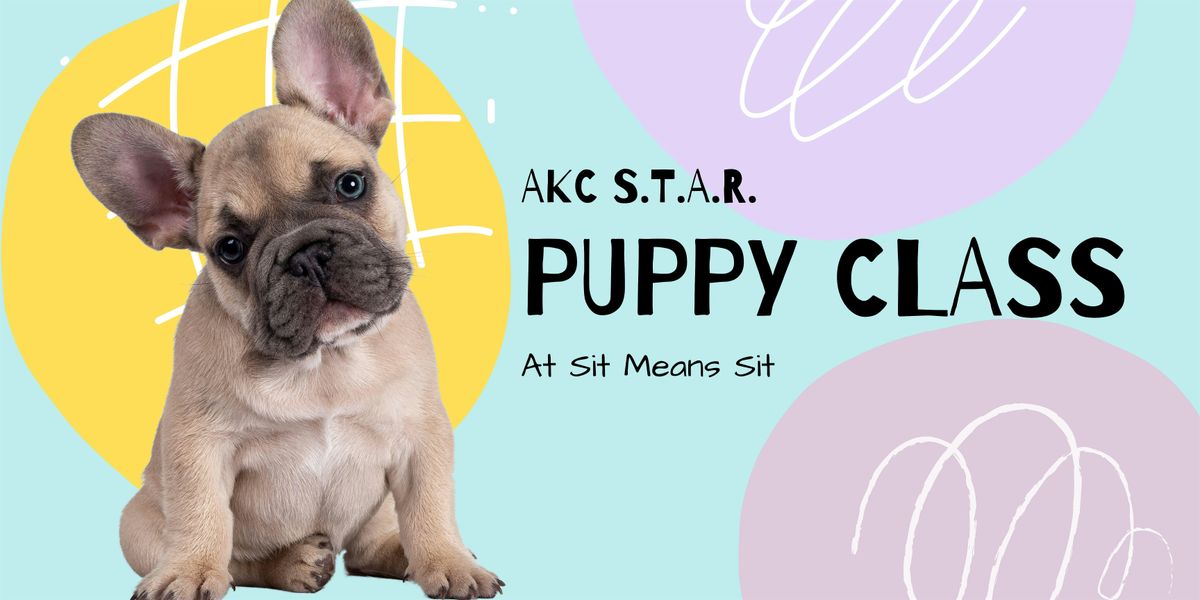 AKC S.T.A.R. Puppy Class - December 9th, 9 December | Event in Madison | AllEvents