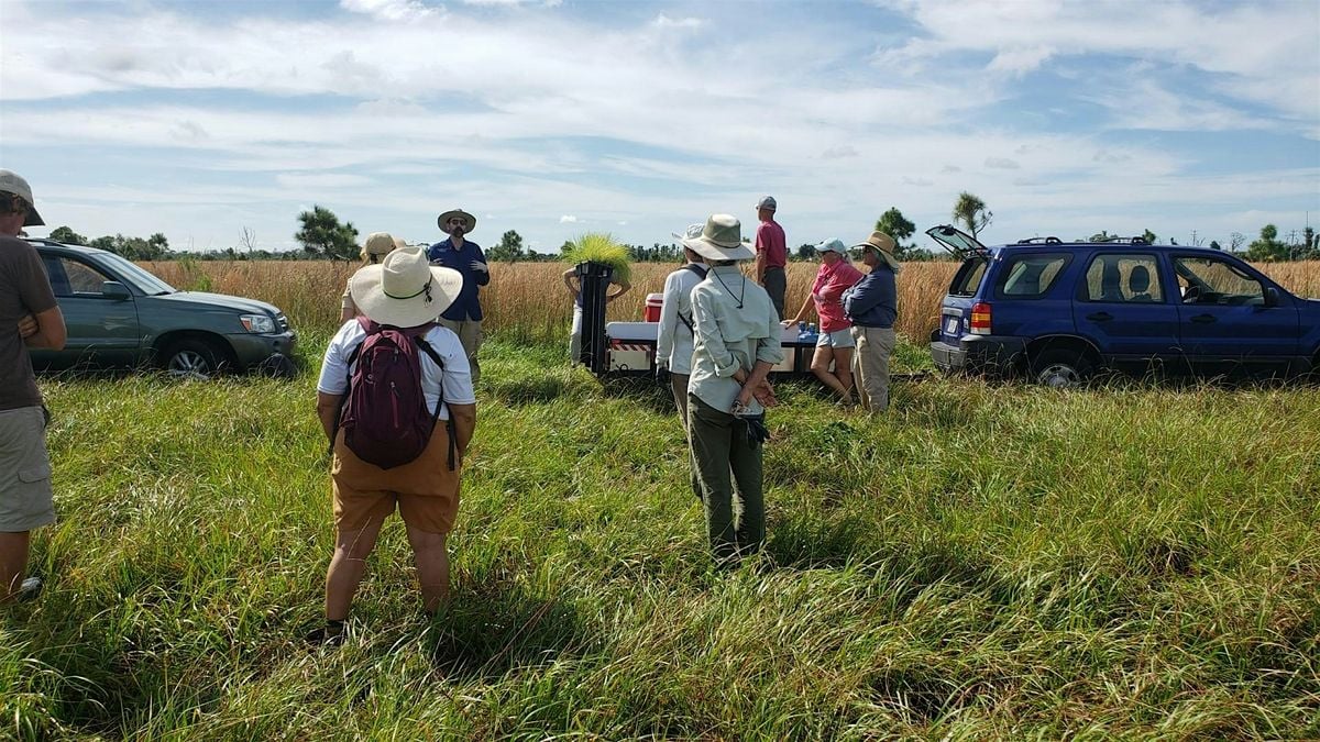 Pine Island Preserve Volunteer Event and Picnic, 20 September | Event in Saint James City | AllEvents
