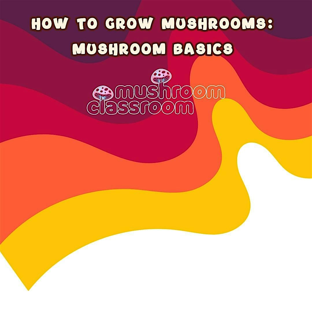 How to Grow Mushrooms Class | Event in Denver | AllEvents