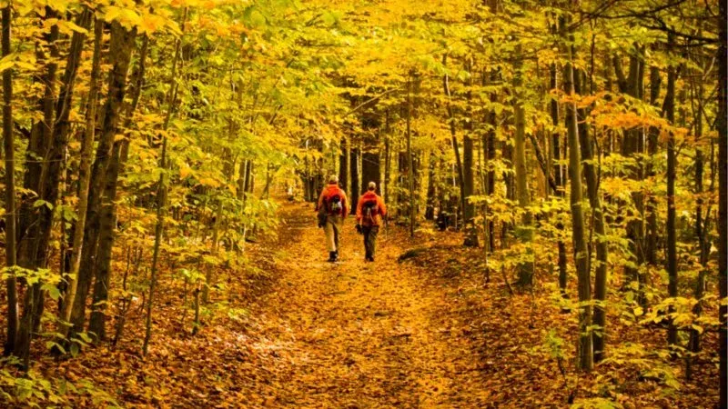 Backpacking October Massachusetts Appalachian Trail ~79 Miles Backpacking Fall Foliage ...