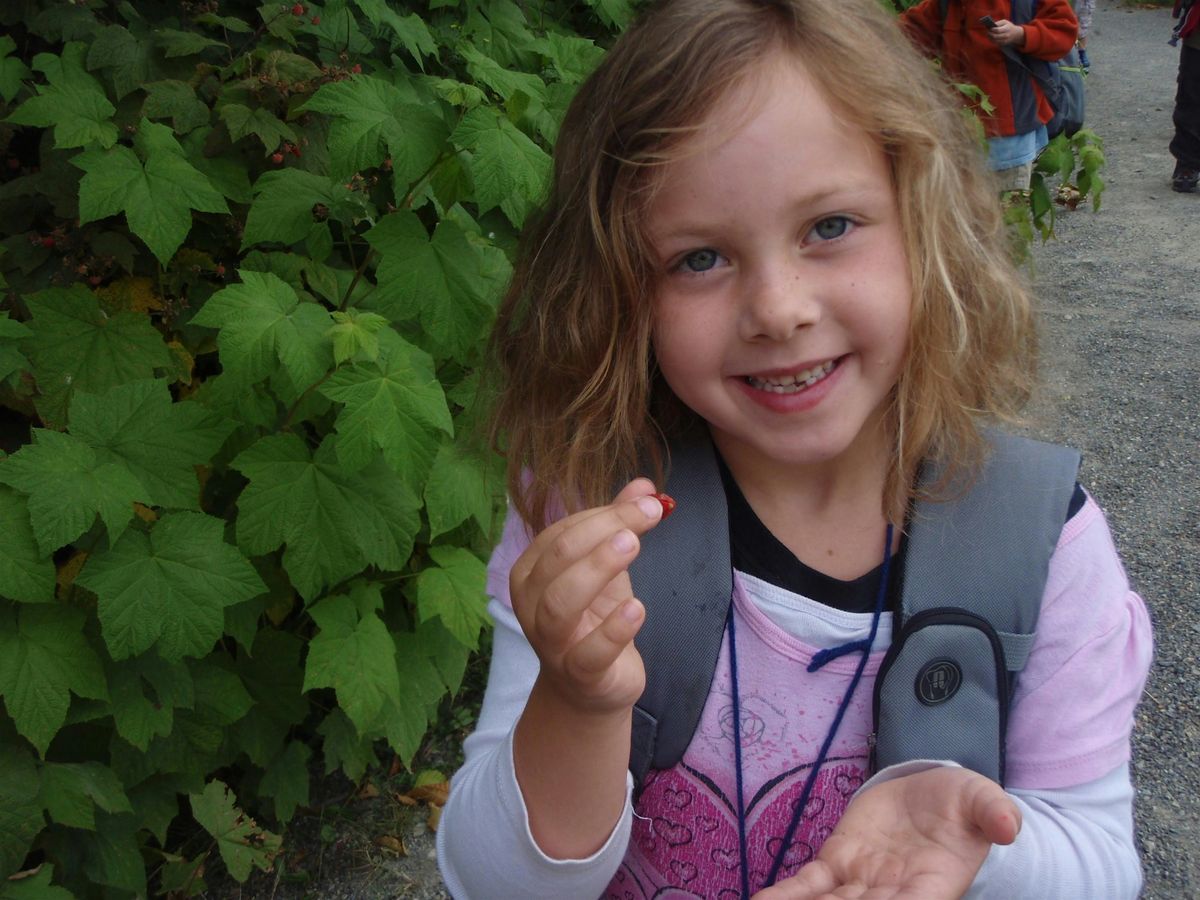 Forest to Fork 2025 | Event in Woodinville | AllEvents
