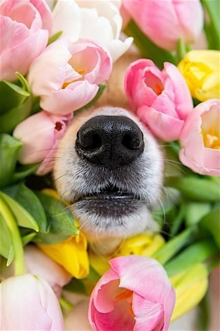 Blossom Forward with Intention | AllEvents
