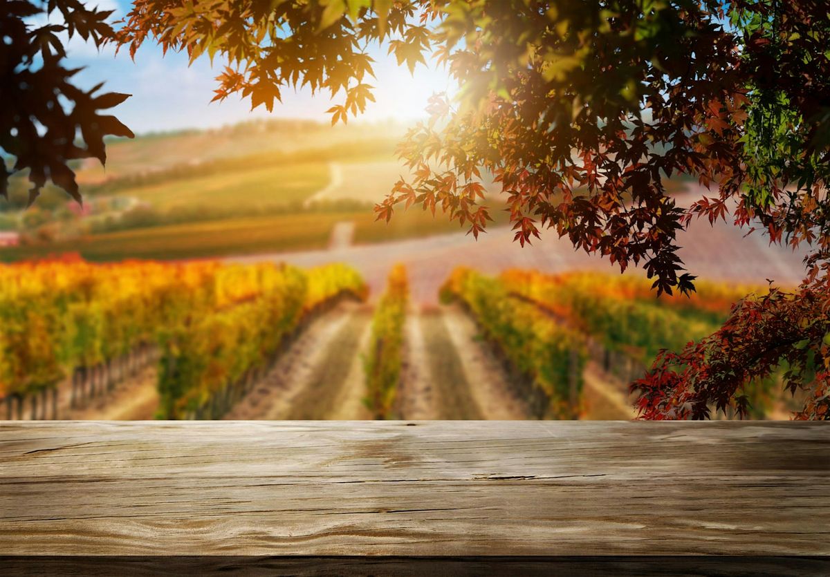 Farm Succession Planning- Caswell County, 21 August | Event in Yanceyville | AllEvents