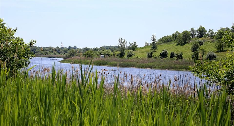 City of Water Day: North Park Wetland Stewardship, 12 July | Event in Staten Island | AllEvents