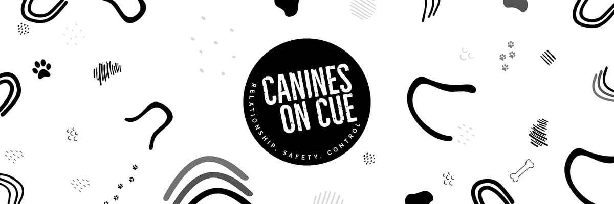'LEAVE IT' MASTERCLASS By Canines On Cue, 4 October | Event in Oxenford | AllEvents