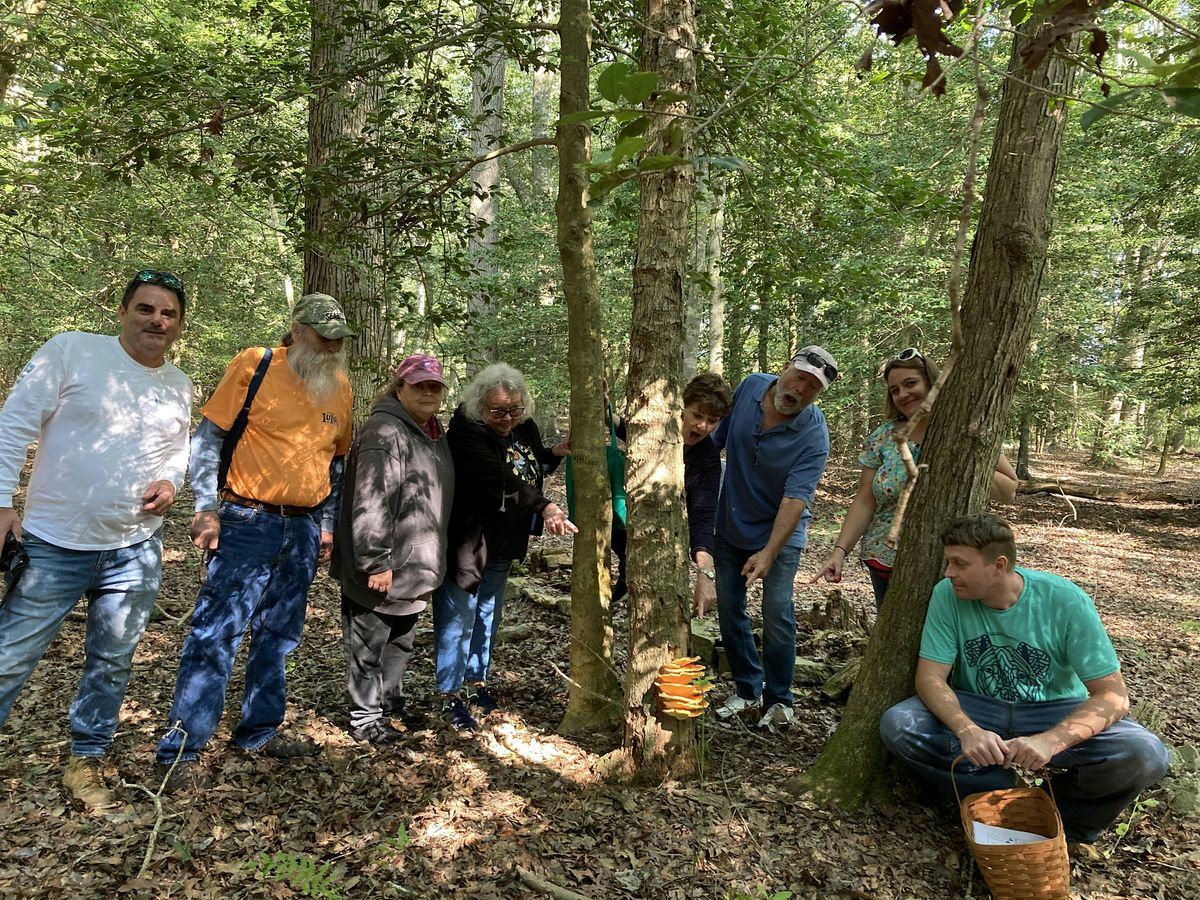 Mushroom 101 and Foraging Class, 20 September | Event in Berlin | AllEvents