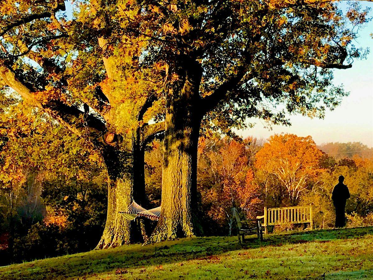 The Great Search 2 - Earth & Soul Annual Retreat, Richmond VA, 14 October | Event in Richmond | AllEvents