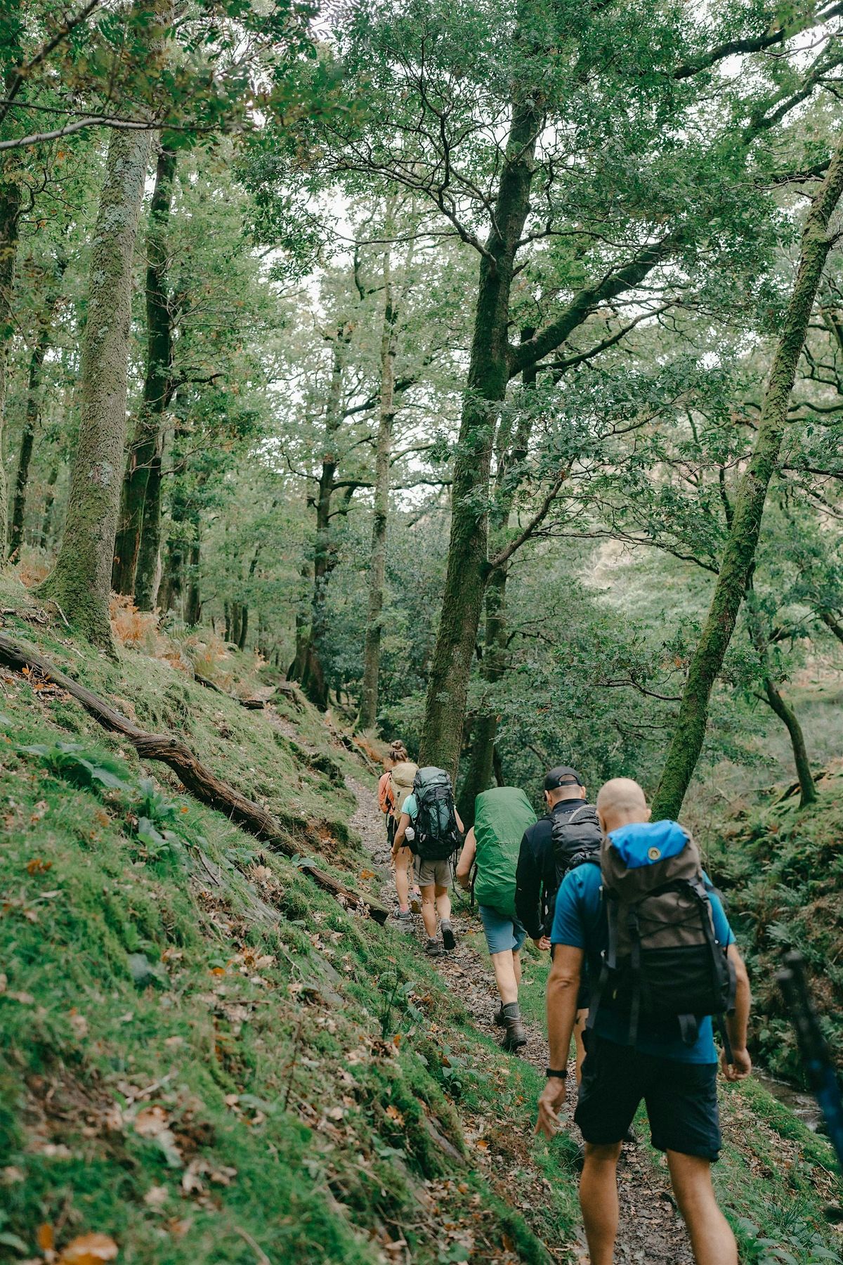 Creative Nature Connection Exploration Day, 6 September | Event in Grasmere | AllEvents
