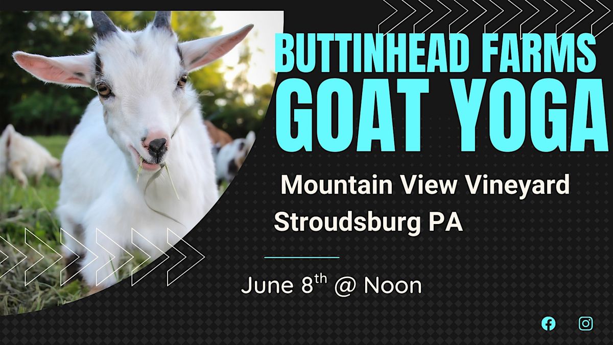 Goat Yoga & Wine  @ Mountain View Winery, 8 June | Event in Stroudsburg | AllEvents
