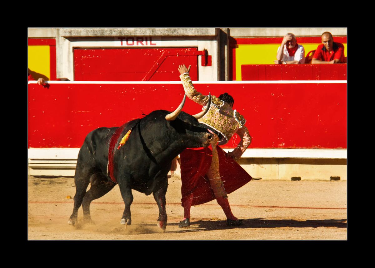 Bullfights San Fermin Pamplona 2025 Tickets, 7 July | Event in Pamplona | AllEvents