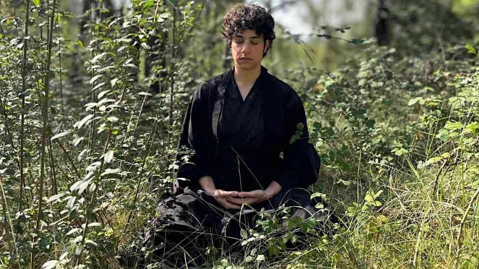 Curs de Zazen, Meditació Zen.
