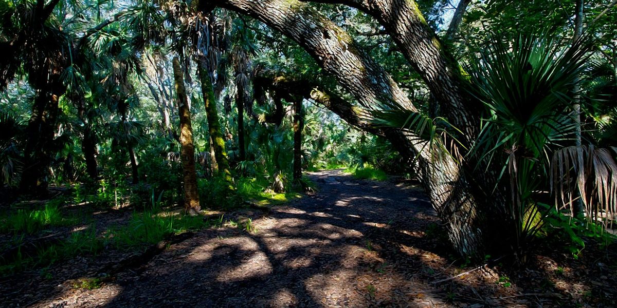 Pelican Island Audubon's Junior Guide Adventure Camp 2025, 2 June | Event in Vero Beach | AllEvents