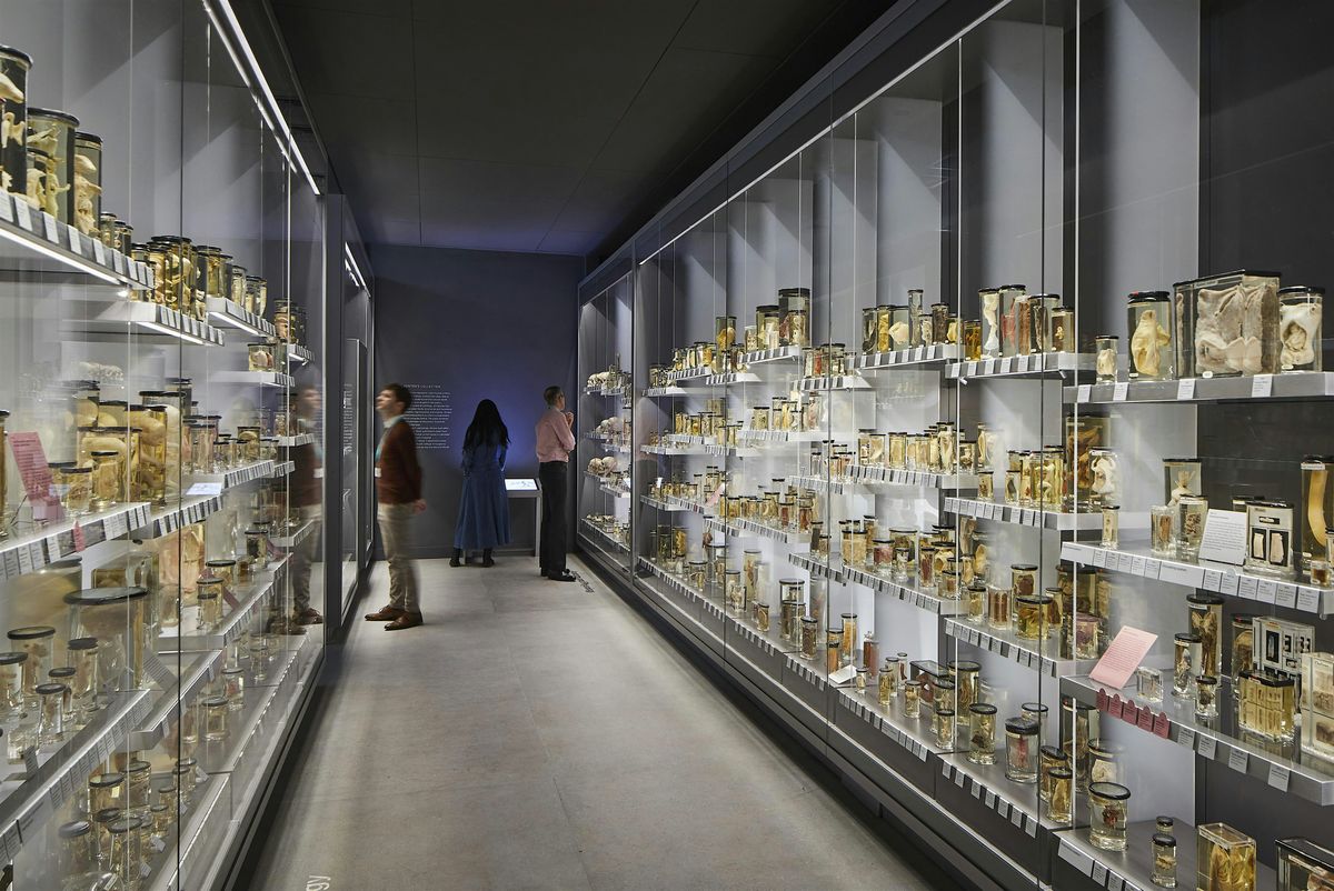 BSL Tours 2026, 25 February | Event in London | AllEvents