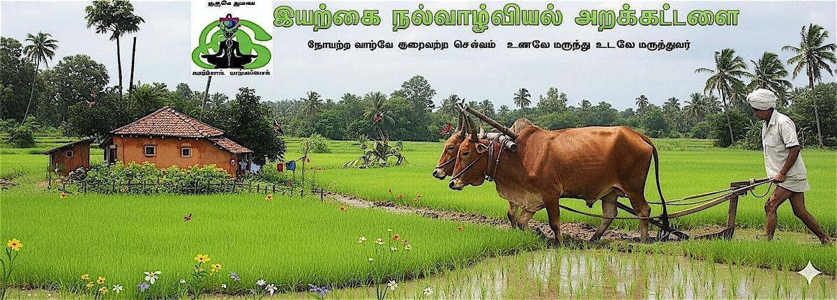 50வது இயற்கை நல்வாழ்வியல் பயிற்சி - Dubai, 1 November