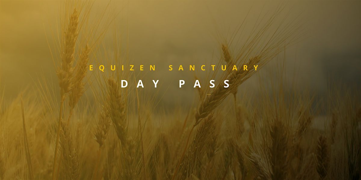 Day ticket to EquiZen Sanctuary | Event in Round Rock | AllEvents