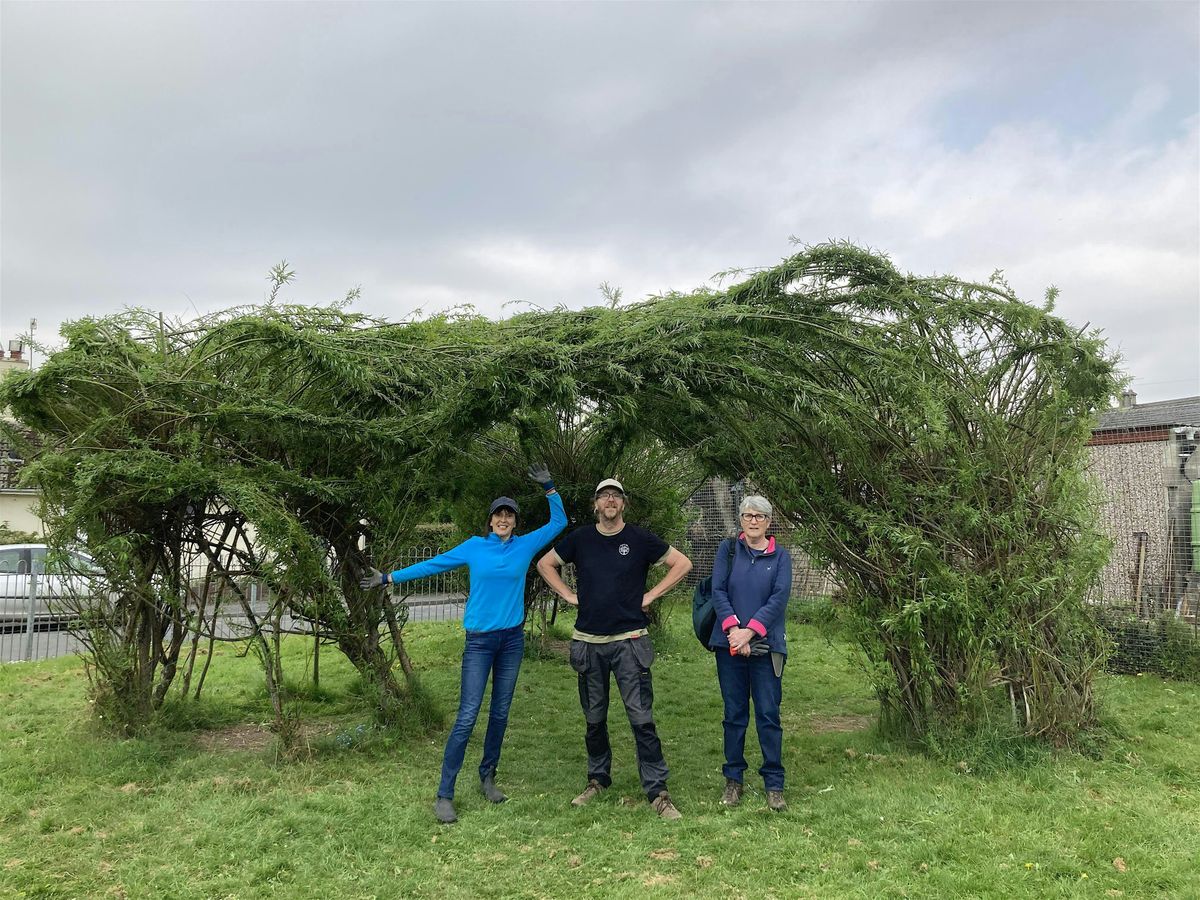 Willow pruning & weaving, 14 November | Event in Totnes | AllEvents