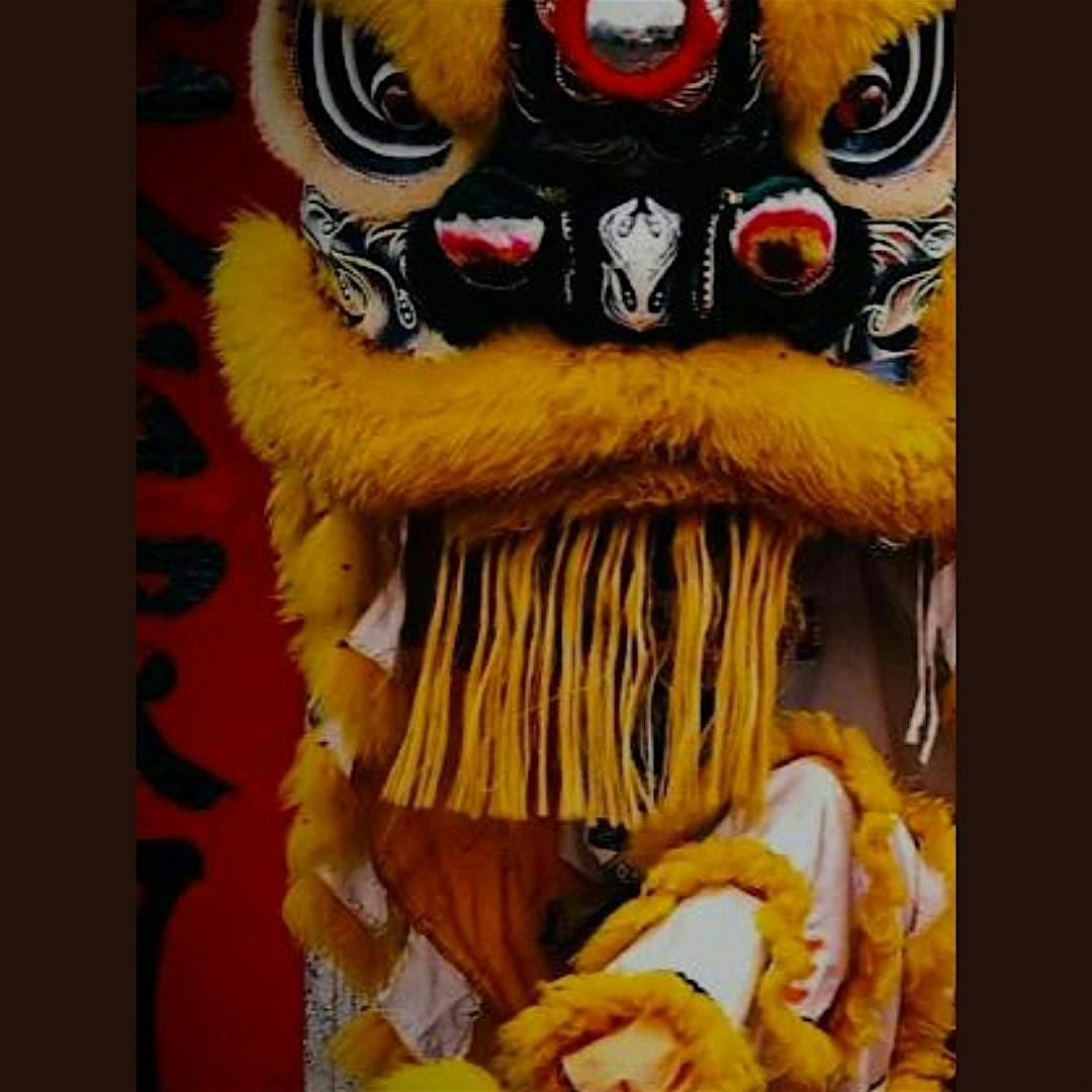 Awakening The Lion Workshop | Event in Nelson | AllEvents