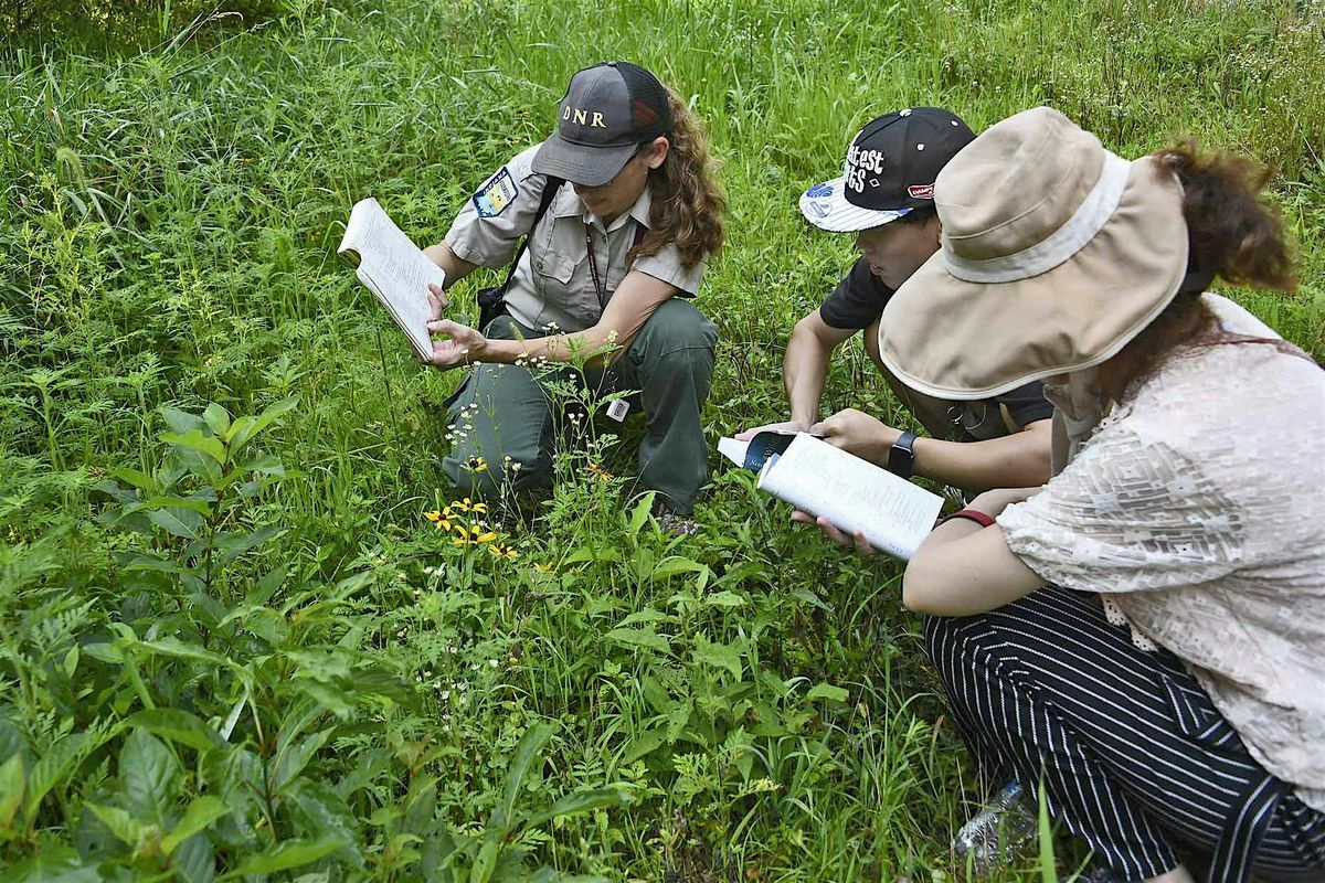 Flora Field Day: Cutright SRA, 8 August | Event in Bloomington | AllEvents