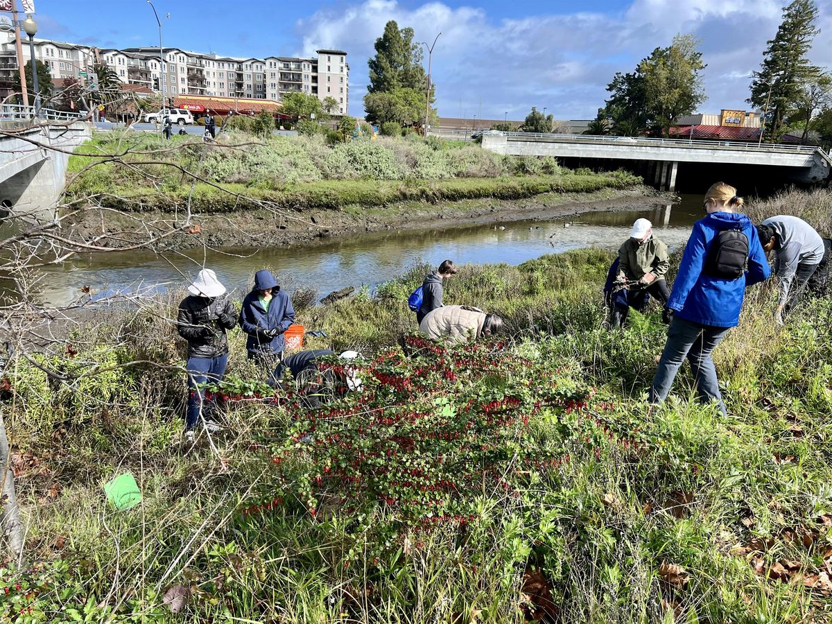 Celebrate Mother's Day in Nature, Volunteer at Redwood Creek (Redwood City) | Event in Redwood City | AllEvents