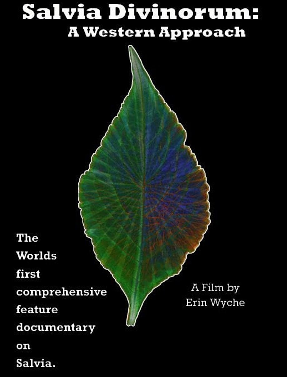Film Screening - Salvia Divinorum: A Western Approach, 20 August | Event in San Francisco | AllEvents