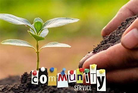 Young Adult - Community Service: Seed Library Packaging, 7 May | Event in East Hampton | AllEvents