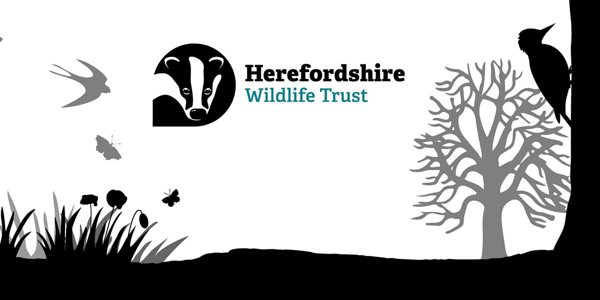 An Evening with Monty Don, 24 October | Event in Hereford | AllEvents