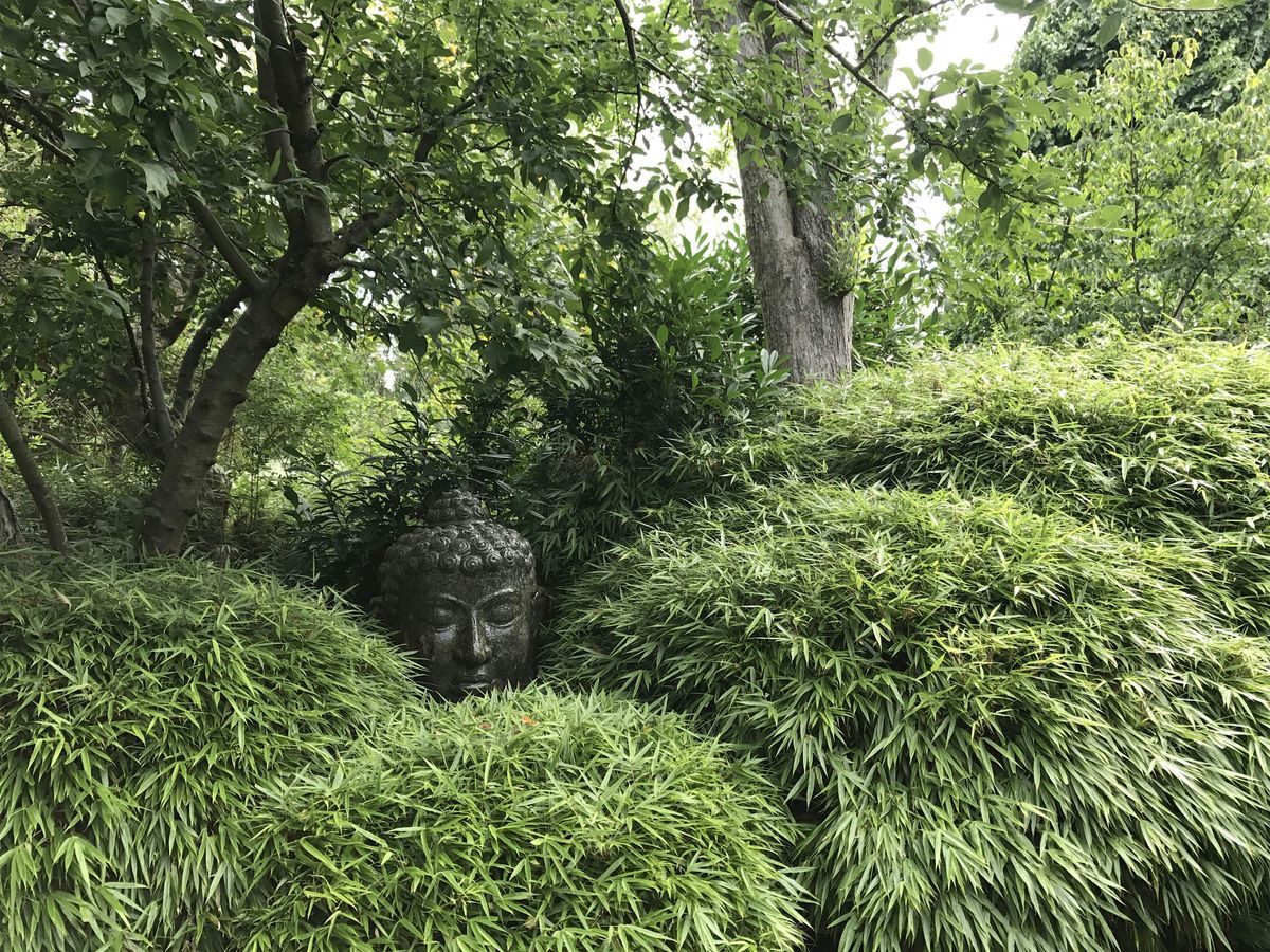 Arboretum Tour: Salt Marsh, 9 July | Event in Newport | AllEvents