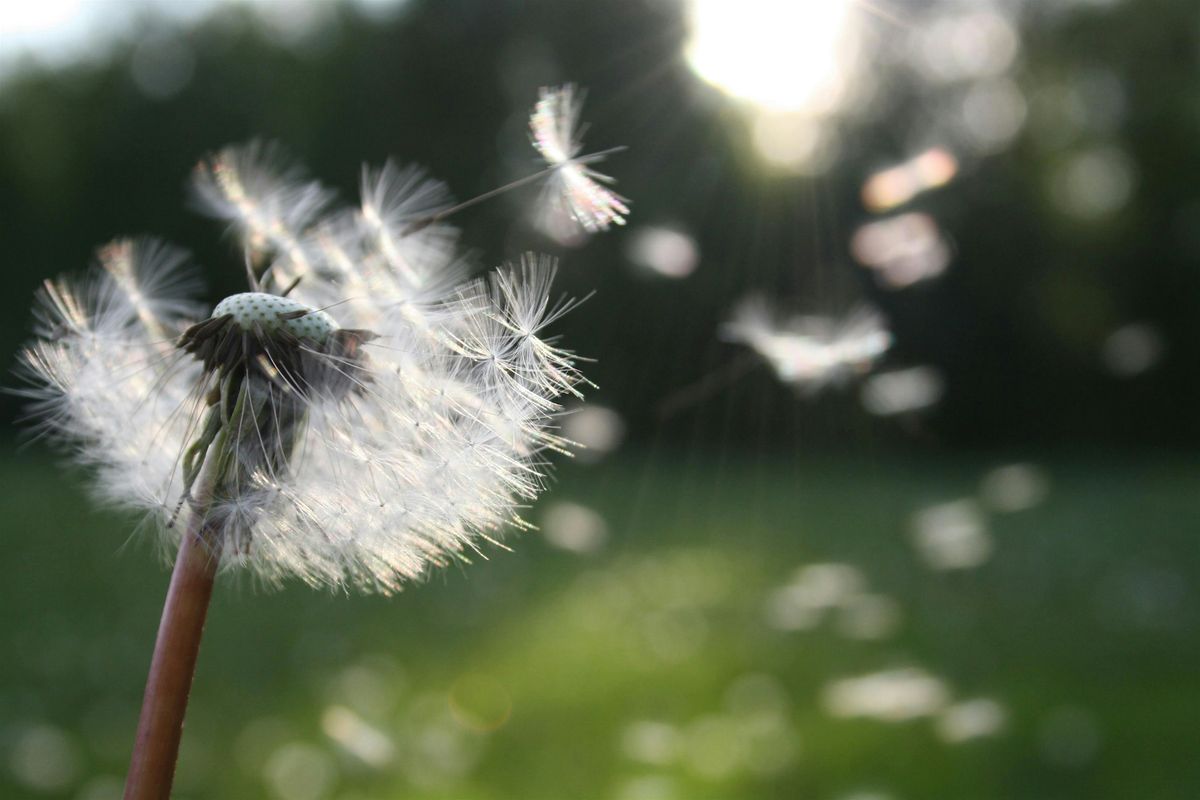 Reclaiming the Creative Self, 29 July | Event in Johnson City | AllEvents