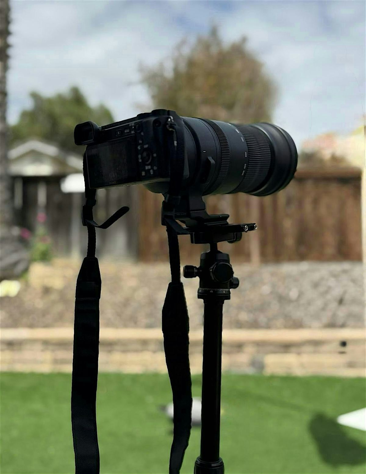 Copy of Sony camera photography meet up, 14 September | Event in Chula Vista | AllEvents
