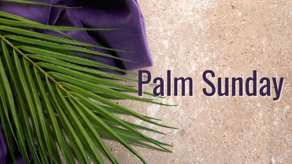 Palm Sunday 902 Danville Blvd Alamo CA 94507 2420 United States 24 palm-sunday-902-danville-blvd-alamo-ca-94507-2420-united-states-24