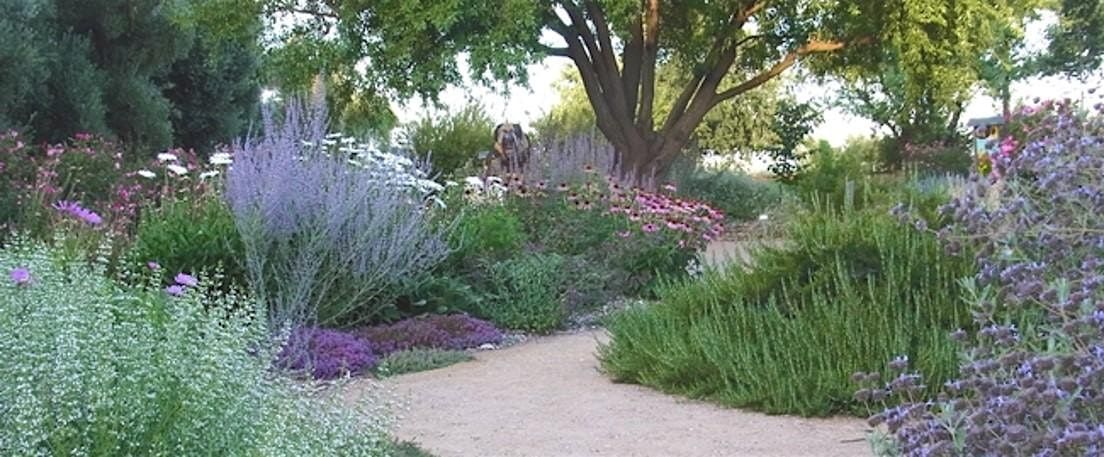 Welcoming Pollinators Into Your Garden, 28 June | Event in Napa | AllEvents