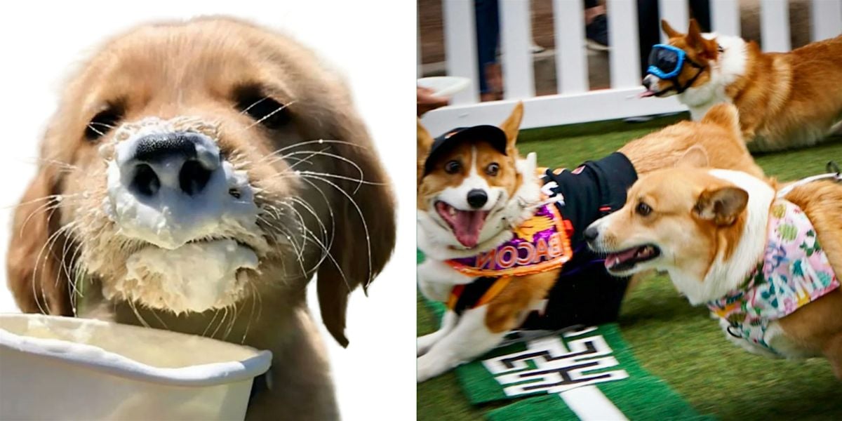 FREE Dog Event @ WESTWORLD Scottsdale!, 21 June | Event in Scottsdale | AllEvents